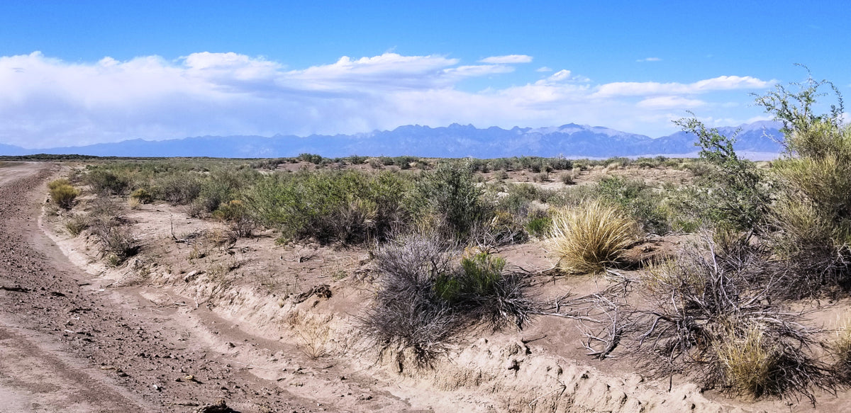 Mount Blanca Valley Ranches - 6.68 acres, Alamosa County, Colorado - photo 1