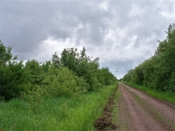 Minnesota, Koochiching County, 20 Acres. TERMS $249/Month