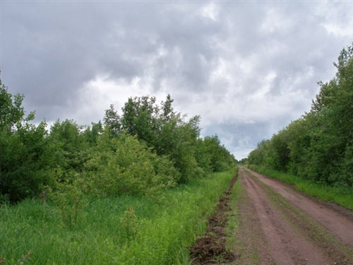Minnesota, Koochiching County, 40 Acres. TERMS $250/Month