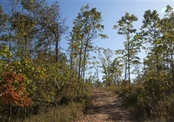 Missouri, Shannon County, 11.13 Acre Borgmann’s Hollow Phase IV, Lot 103. TERMS $464/Month