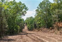 Missouri, Taney County, 13.76 Acres Heritage Bend, Lot 24. TERMS $844/Month