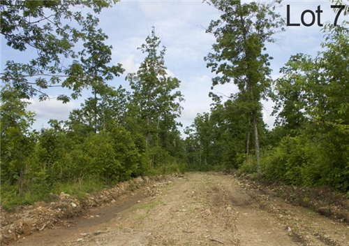 Missouri, Shannon County, 5.01 Acre Thunder Mountain Ranch,  Lot 7, Electricity. TERMS $249/Month