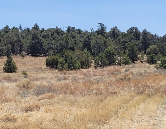 New Mexico, Cibola County, 3.01 Acre