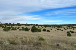 New Mexico, Catron County, 24.87 Acres Horseshoe Trails  Lot 13.   TERMS $674/Month