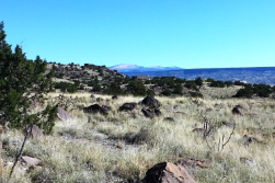 New Mexico, Cibola County, 1.33  Acres Gabaldon, Lots 7-14 (8 Adj Lots). TERMS 50% Off (now) $72/Month