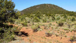 New Mexico, Cibola County, 0.25 Acre El Morro Estates, Unit 1 Lot 436. TERMS $50/Month
