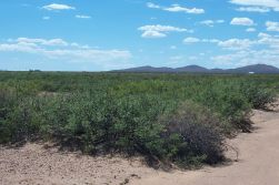 New Mexico, Luna County,  Near Columbus, 10 Acre T28S R8W Sec 5 SEQNWQNEQ. TERMS $112/Month