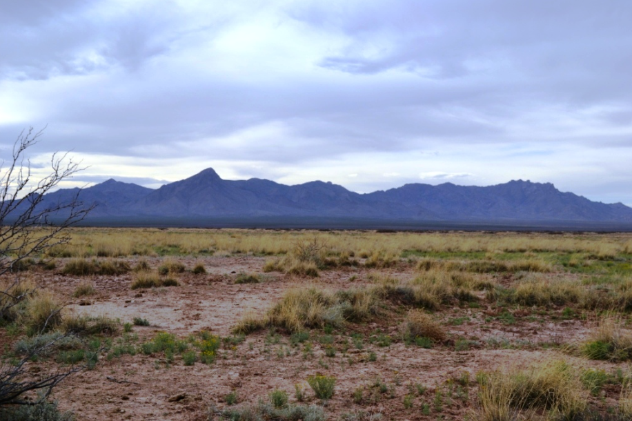 New Mexico, Luna County,  Sunshine Valley Ranchettes, 2 Acres Lot 7, 8, 37, 38 (Adjoining). TERMS $120/Month