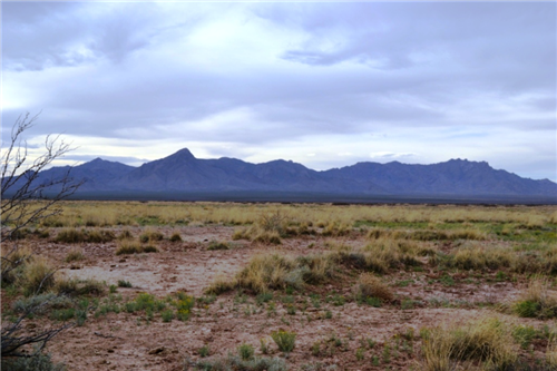 New Mexico, Luna County,  Sunshine Valley Ranchettes, 0.5 Acre Lot 21 Unit 16. TERMS $25/Month