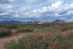 New Mexico, Luna County,  Southwestern Homesites, 2.16 Acre  Lot 37-38 Unit 1 Block 4. TERMS $119/Month