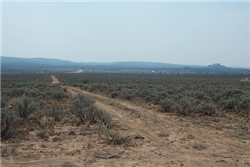 New Mexico, Taos County, 0.25 Acres Tres Piedras, Lot J Block 96 Unit 8, Mountain Lot. TERMS $82/Month