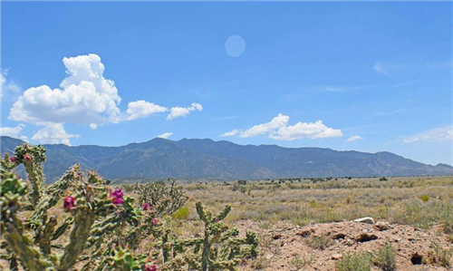 New Mexico, Valencia County, 0.25 Acre Rio Del Oro, Lot 04 Block 41. TERMS $34/Month