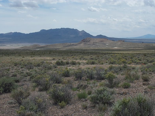 Nevada, Elko County, 40 Acres Mountain Meadow Ranches, Lot 1248. TERMS $438/Month