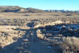 Nevada, Elko County, 80.00 Acres Gamble District, T40N, R66E, Section 25,N2NW4. TERMS $483/Month