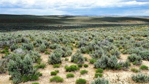 Nevada, Elko County, 2.06 Acres Meadow Valley Ranchos,  Lot 5 Block 43 Unit 4. TERMS $91/Month