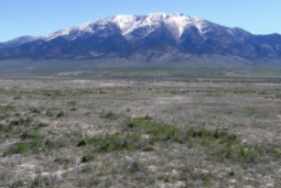 Nevada, Elko County, 40.15 Acres Mountain Meadow Ranches, Parcel 818. TERMS $557/Month
