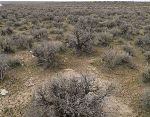 Nevada, Elko County, 4.93 Acres Ruby View Ranchos,  Lot 3 Block 4 Unit 3, Electricity. TERMS $232/Month