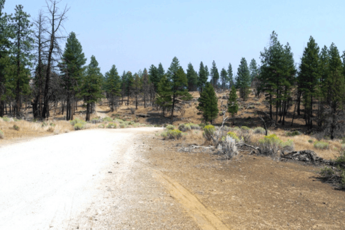 Aerial view of Oregon's Klamath Forest Estates Lot 39, block 13, showing wooded 3.09-acre property in Klamath County.