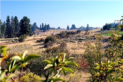 Oregon, Klamath  County, 0.31 Acres Oregon Shores Lot 41, Block 28 Unit 2, Electricity. HUGE VIEWS. TERMS $209/Month