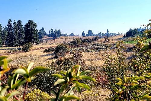 Oregon, Klamath  County, 0.54 Acres Oregon Shores Lot 9 Block 19 Unit 2, Electricity. TERMS $374/Month