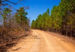 Oklahoma, Latimer  County,  37.65 Acre Stone Creek Phase II, Lot 278. TERMS $849/Month