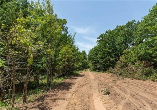 Oklahoma, McIntosh County, 2.66 Acre Timber Ridge, Lot 41. TERMS $194/Month