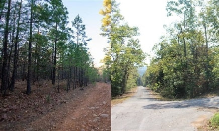 Oklahoma, Latimer  County, 15.76 Acre Stone Bridge II, Lot 101. BUNDLED (with Resort Lot in Ozarks) TERMS $528/Month