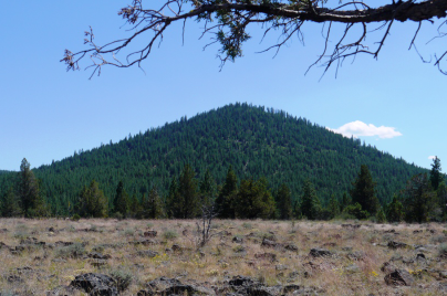 Oregon, Klamath  County,  20 Acres Ferguson Mountain PinesN1/2 of SE1/4 of SE1/4 of Section 32, T35S, R13 E, Willamette Meridian.  TERMS $398/Month