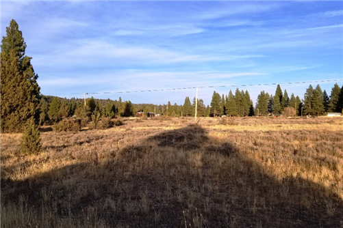 Oregon, Klamath  County,  0.07 Acres Town of Sprague River  Lot 19 Block 6, Electricity.  TERMS 50% Off (now) $21/Month