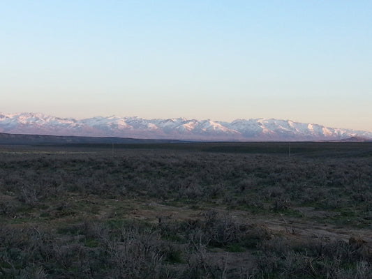 Ruby View Ranchos - 4.93 acres, Elko County, Nevada - photo 1