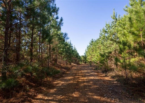 Tennessee, Decatur County, 5.36 Acre Pine Ridge, Lot 4. TERMS $304/Month