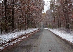 Tennessee, Decatur County, 6.40 Acre Sweet Water Ranch, Lot 27. TERMS $280/Month