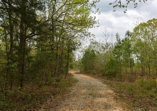 Tennessee, Henderson County, 5.47 Acres  Twin Rivers, Lot 17, Stream. TERMS $334/Month