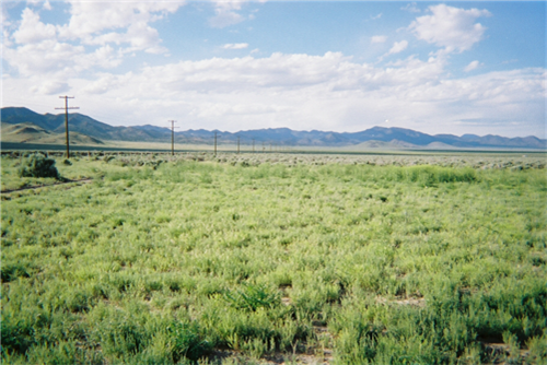Utah, Iron County, 2.32 Acres Garden Valley Ranchos Lot 3740 & 3741 (2 Adj). TERMS $125/Month