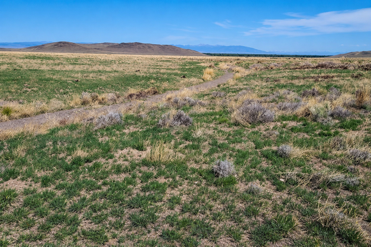 Aerial view of Colorado Conejos County 30-acre land east of Manassa, showing open fields and natural landscape.