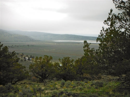 California, Lassen County,  20 Acres Moon Valley Ranch.