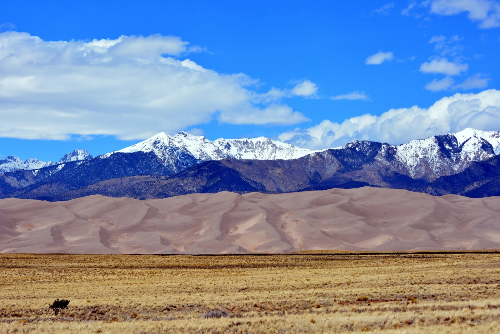Colorado, Alamosa County, 5.00 Acres Mount Blanca Estates, Lot 19 Block 23 Unit 2.  TERMS $86/Month