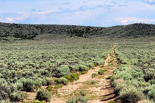 Colorado, Costilla County, 35.13 Acres Reichwein Ranch Lot 1. TERMS $393/Month