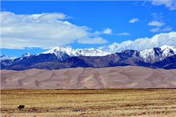 Colorado, Costilla County, 5.02 Acres Mount Blanca Estates, Lot 11.  Cash Deal.