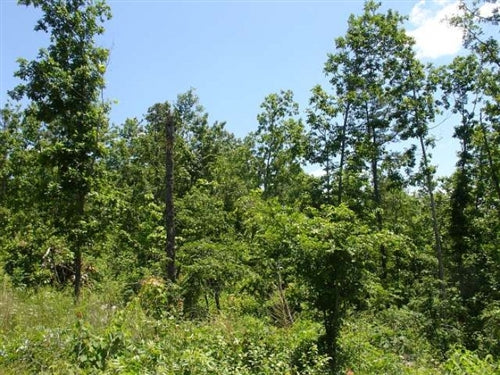 Missouri, Shannon County, 24.76 Acres Antler Ridge. TERMS $240/Month