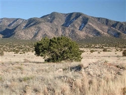 New Mexico, Valencia County, Two (.25) Acre Rio Del Oro. Lots.