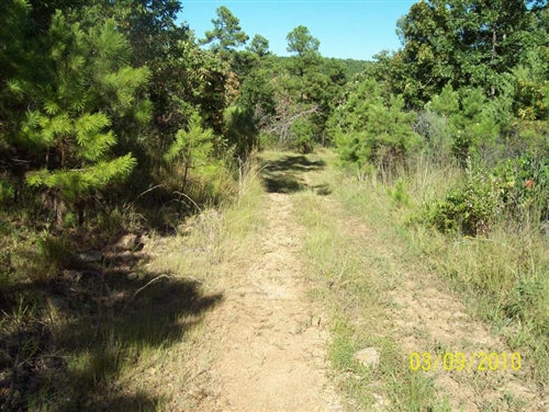 Oklahoma, Latimer  County, 5 Acre Pine Mountain Ranch. TERMS $185/Month