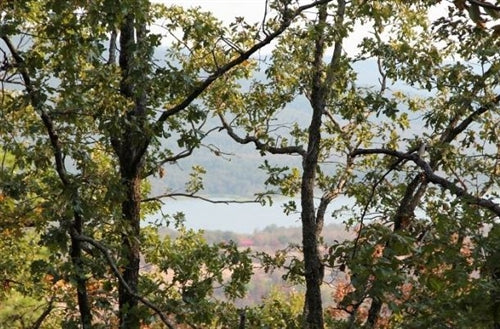 Oklahoma, Pushmataha County, 8.36 Acres Lake View Ranch. TERMS $304/Month