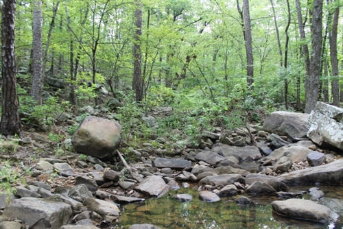 Oklahoma, Pushmataha County, 11.16 Acre Trophy Ridge III, Creek.