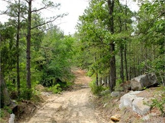 Oklahoma, Pushmataha County, 11.49 Acre Trophy Ridge. TERMS $185/Month