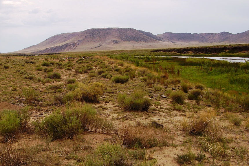Colorado, Costilla County, 0.25 Acre Rio Grande River, Lot 884 Unit 1 (Near Rio Grande River). TERMS $45/Month
