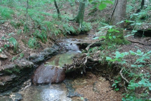 Tennessee, Wayne County, 7 Acres Sugartree Falls. TERMS $220/Month