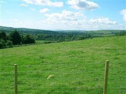 Aerial view of Texas Cochran County 4-acre land parcel with open fields and clear skies, offered by Onlinelandsales.
